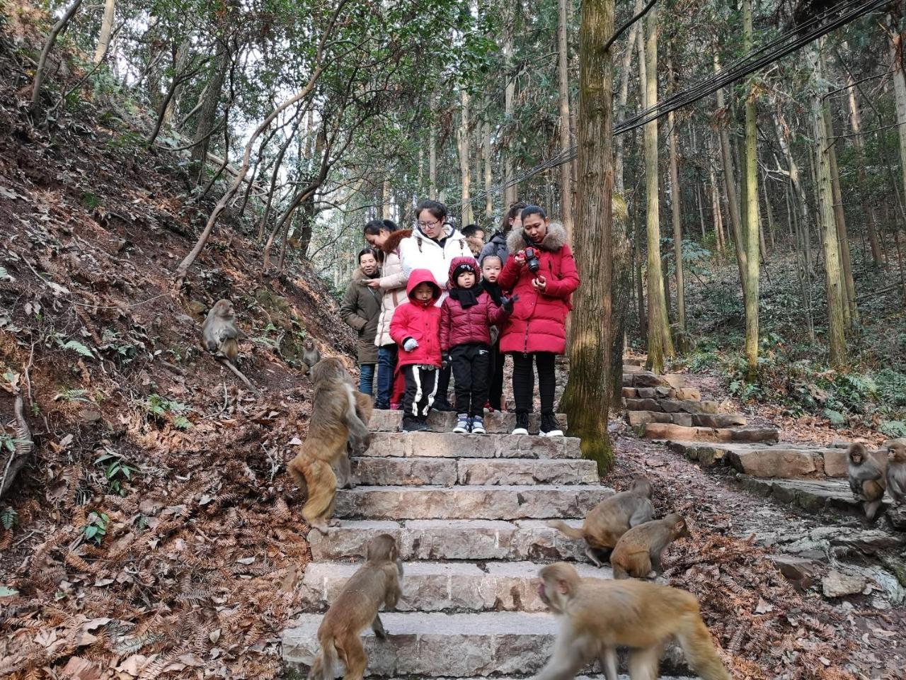 悦庐民宿 张家界 外观 照片